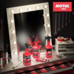 Motul Böcek ve Sinek Temizleyici Sprey 500 Ml Insect Remover - Görsel 2
